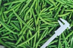 FROZEN GREEN BEANS